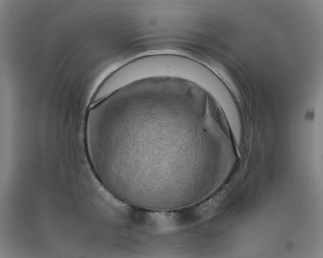 X0000092230805200709281103