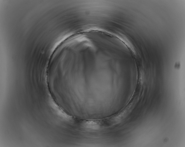 X0000092230806200709281103