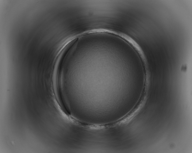 X0000092230809200709281103