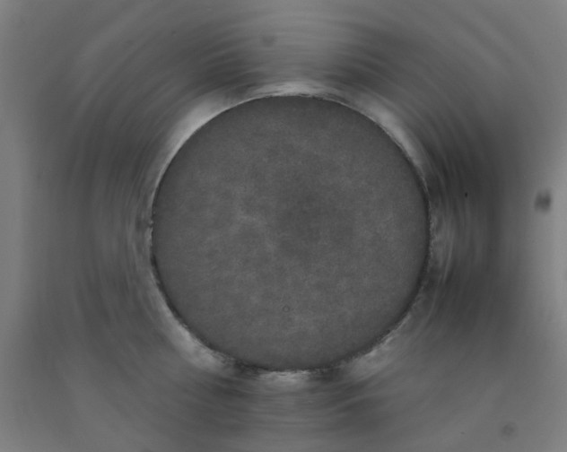 X0000092230810200709281103