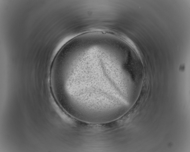 X0000092230811200709281103