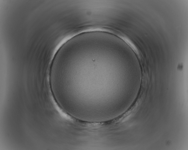 X0000092230813200709281103