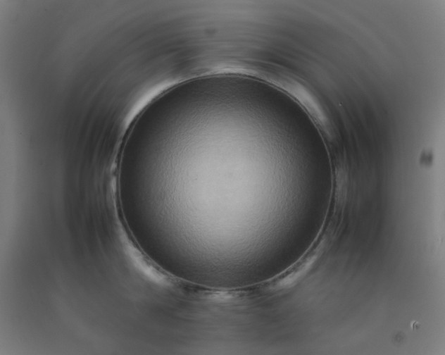 X0000092230814200709281103