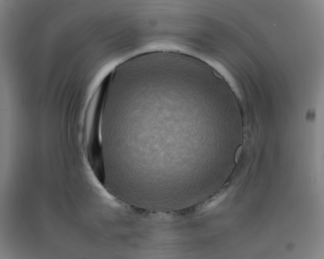 X0000092230815200709281103