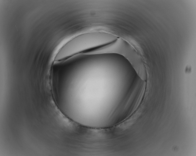 X0000092230816200709281103