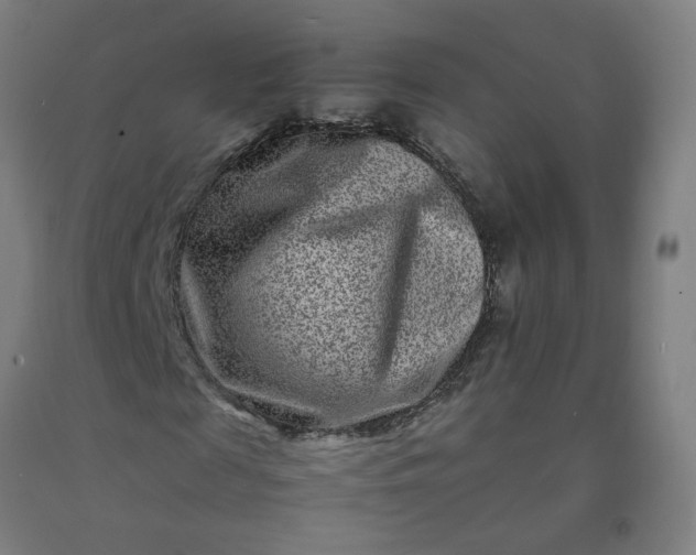 X0000092230817200709281102