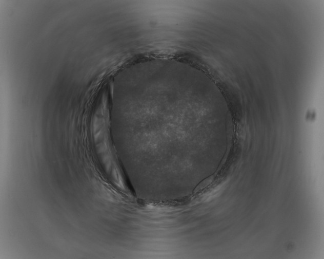 X0000092230818200709281102