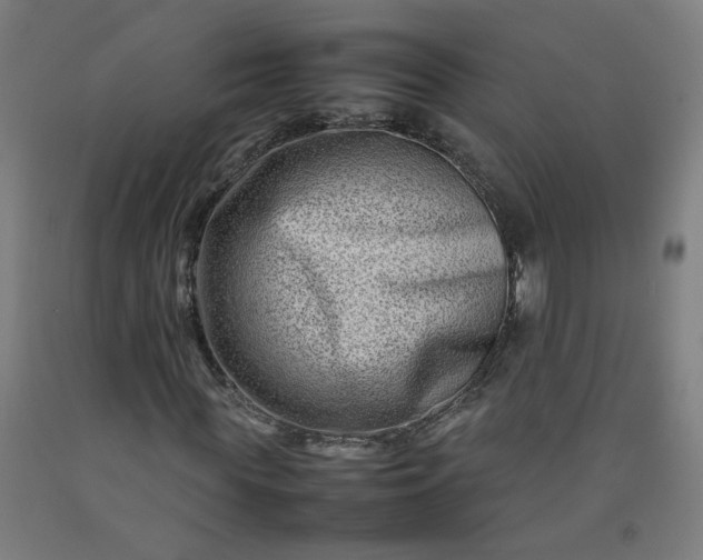 X0000092230819200709281102