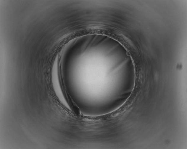 X0000092230821200709281102