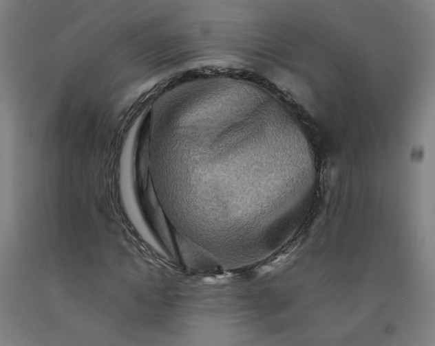 X0000092230822200709281102