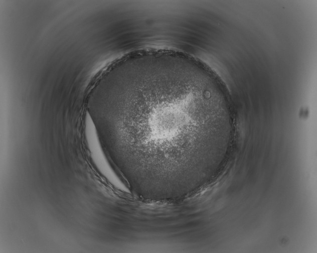 X0000092230823200709281102