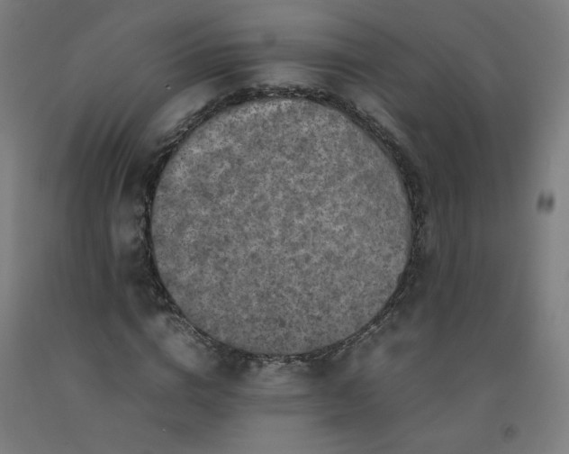 X0000092230824200709281102