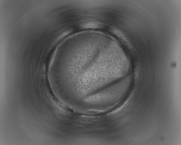 X0000092230825200709281102