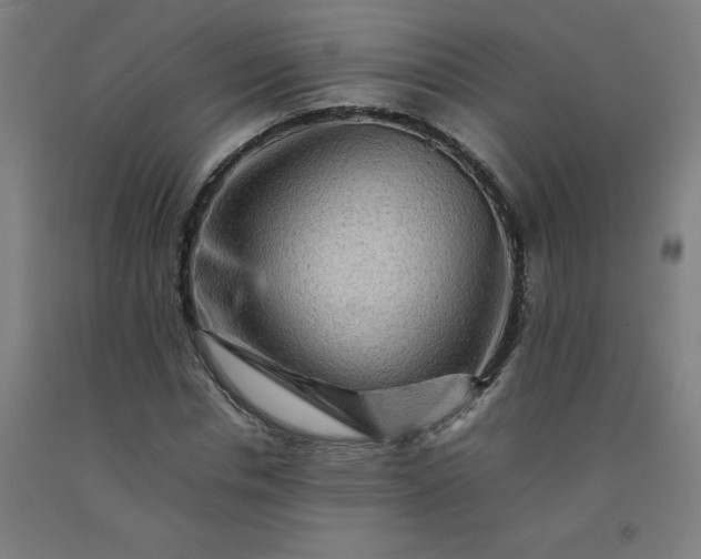 X0000092230826200709281102