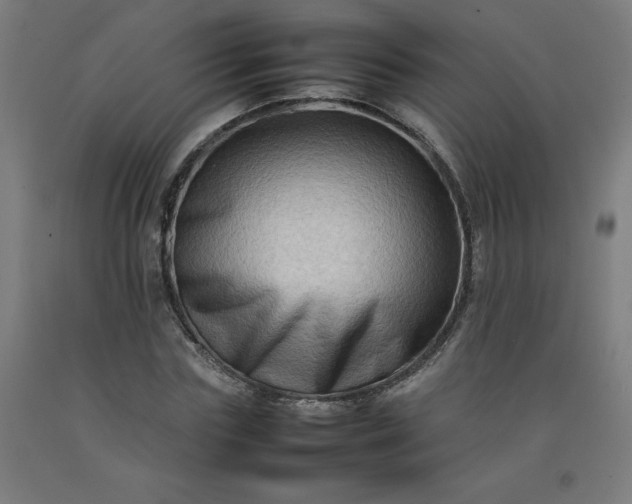 X0000092230827200709281102