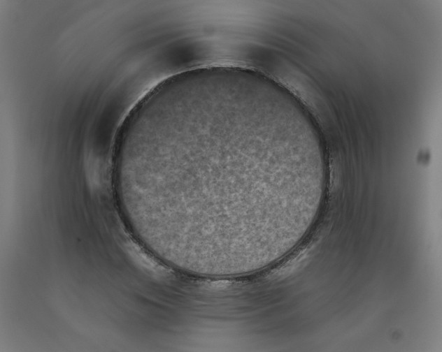 X0000092230828200709281102