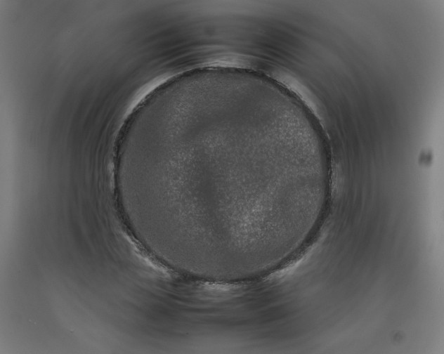 X0000092230829200709281102