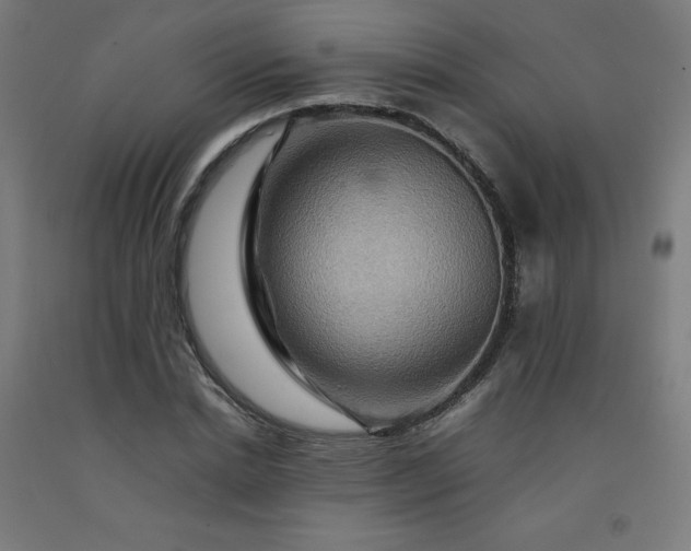 X0000092230830200709281102