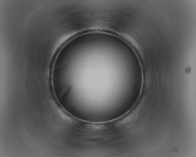 X0000092230831200709281102