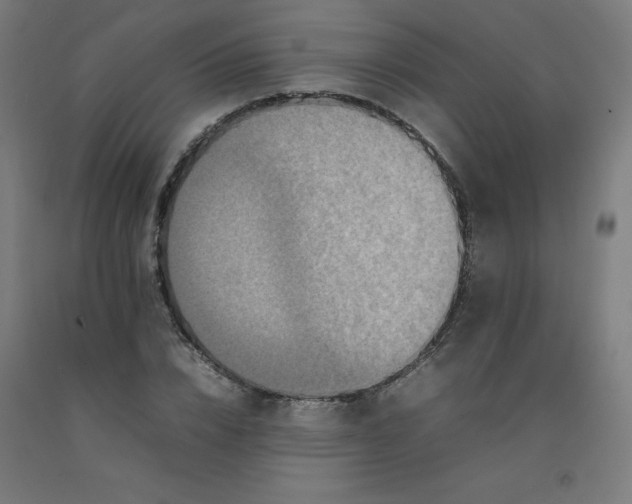 X0000092230832200709281102