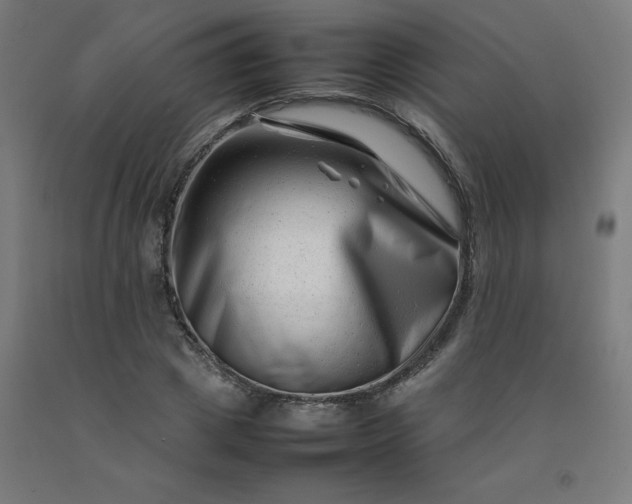 X0000092230833200709281102