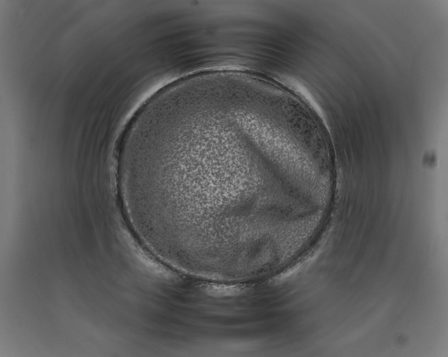 X0000092230835200709281102