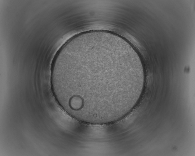 X0000092230836200709281102