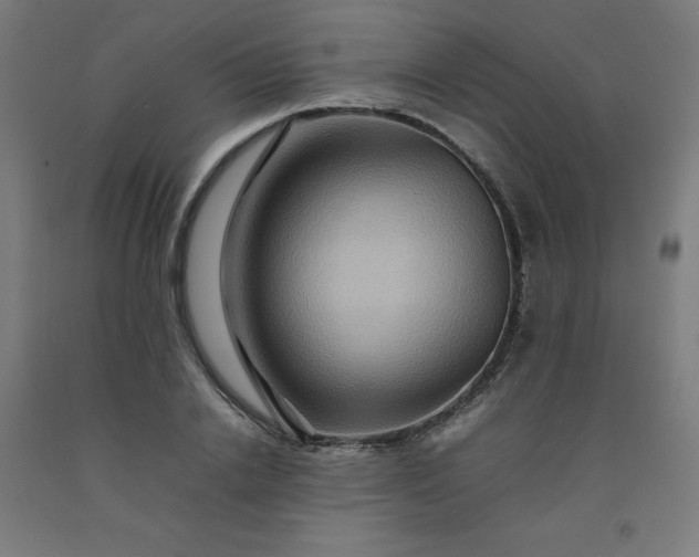 X0000092230838200709281102