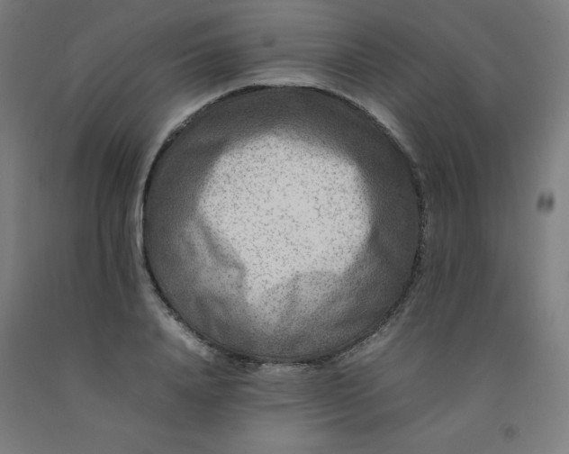 X0000092230840200709281102