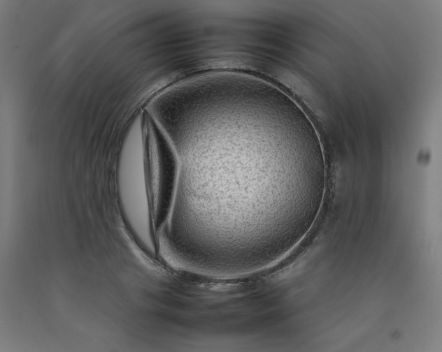 X0000092230841200709281102