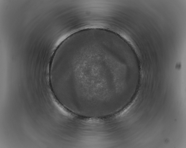 X0000092230842200709281102