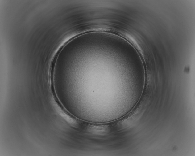 X0000092230843200709281102