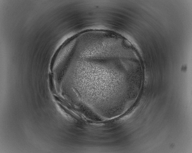 X0000092230845200709281102