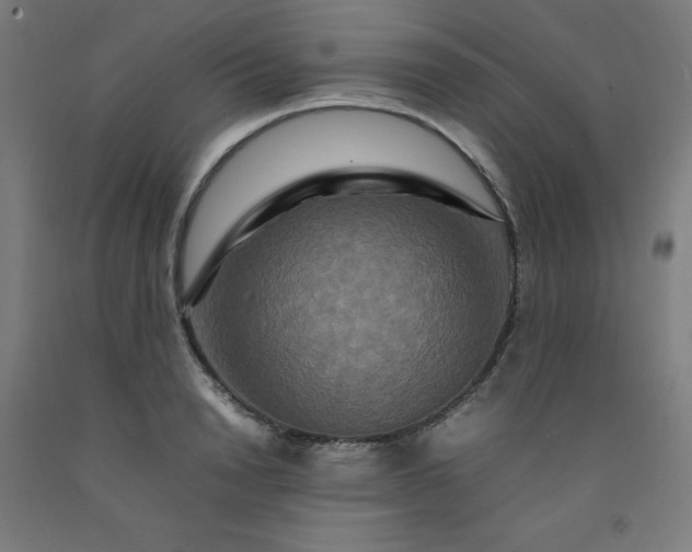 X0000092230846200709281102