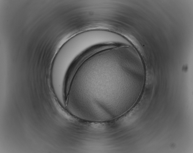 X0000092230850200709281103