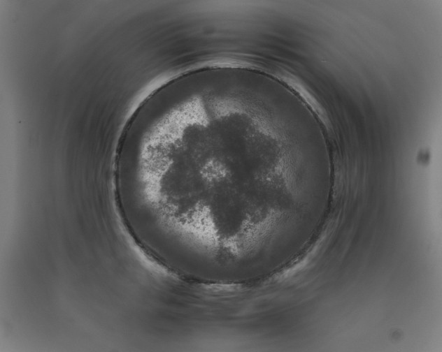 X0000092230853200709281103