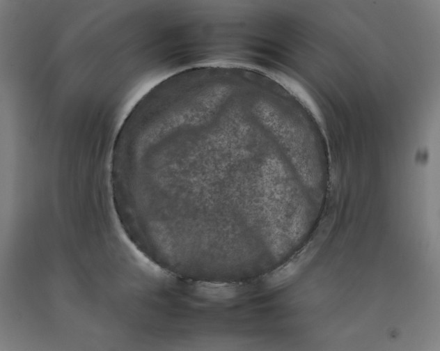 X0000092230855200709281103