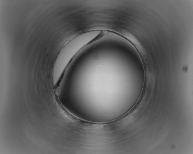 X0000092230857200709281103