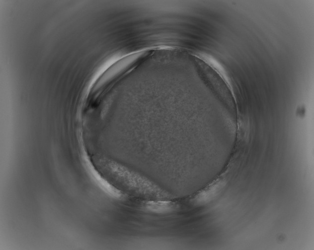 X0000092230859200709281103