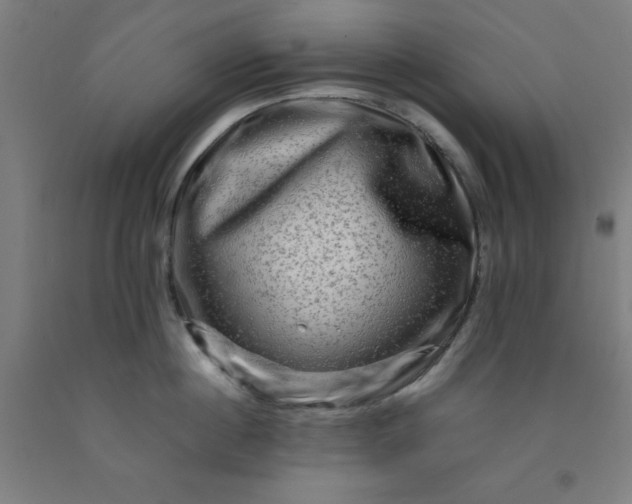 X0000092230860200709281103