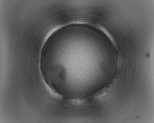 X0000092230861200709281103