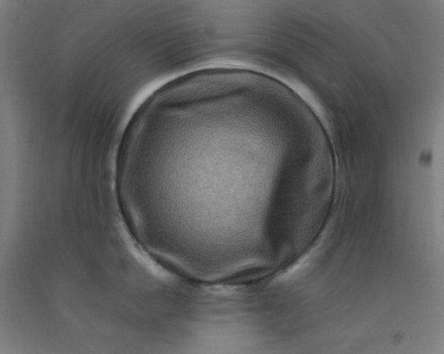 X0000092230862200709281103