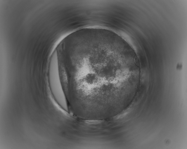 X0000092230863200709281103