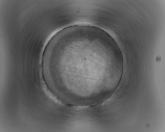 X0000092230864200709281103