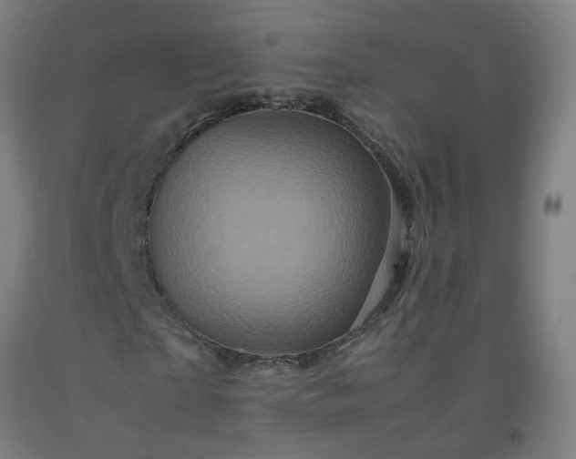 X0000092230865200709281102