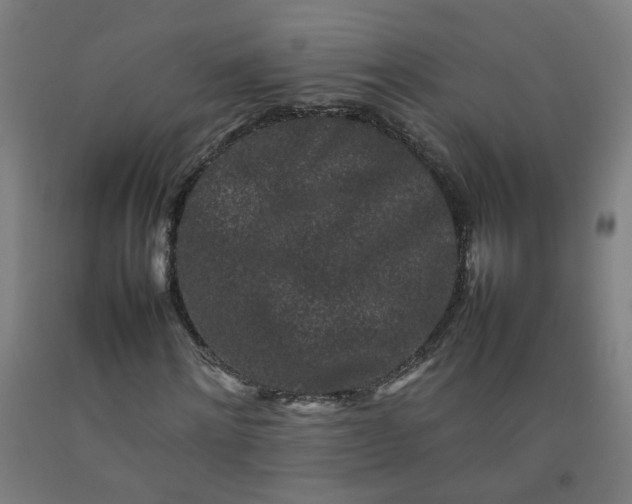 X0000092230868200709281102