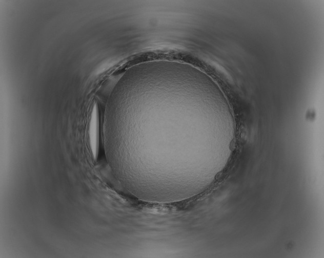 X0000092230869200709281102