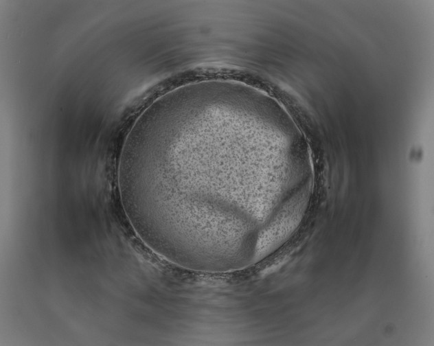 X0000092230870200709281102