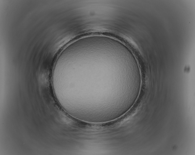 X0000092230873200709281102