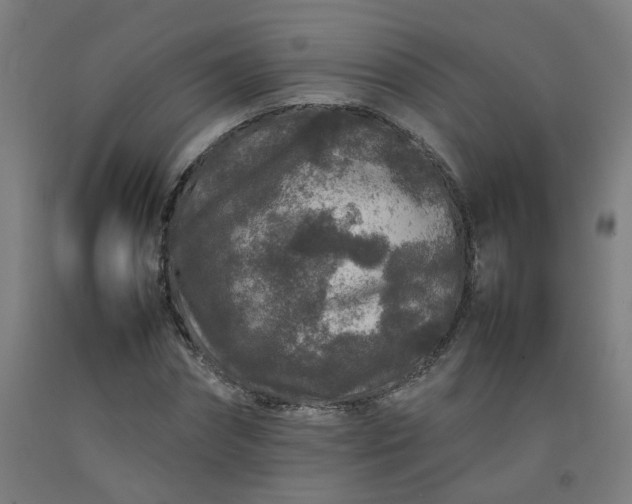 X0000092230874200709281102